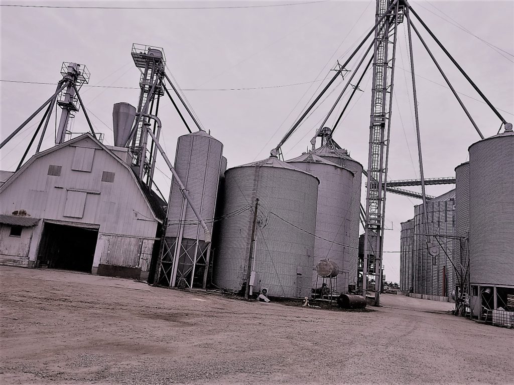 Daily Feed & Grain, Inc.